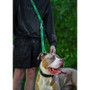 Twiggy Tags Awareness Multiway Friendly Dog Lead