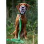 Twiggy Tags Awareness Multiway Friendly Dog Lead