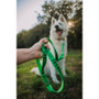 Twiggy Tags Awareness Close Control Friendly Dog Lead