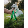 Twiggy Tags Awareness Close Control Friendly Dog Lead