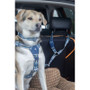 Twiggy Tags Oasis Horizon Seatbelt for Dogs