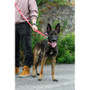 Twiggy Tags Awareness Multiway Do Not Pet Dog Lead