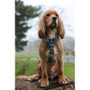 Twiggy Tags Oasis Horizon Dog Harness - 6 Sizes