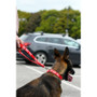 Twiggy Tags Awareness Close Control Do Not Pet Dog Lead