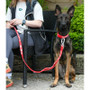 Twiggy Tags Awareness Close Control Do Not Pet Dog Lead