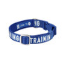 Twiggy Tags Awareness Dog Collar Training Large 