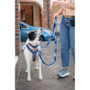 Twiggy Tags Awareness Multiway Training Dog Lead
