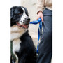 Twiggy Tags Awareness Close Control Training Dog Lead
