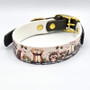 Trinketypaws Biothane Dog Collar Wildlings