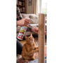 BAM! Catnip Spray playful behavior in cats. Cat Scratcher