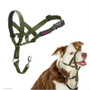 Coa Halti Headcollar Green 