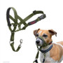 Coa Halti Headcollar Green 