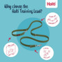 Coa Halti Training Lead Green in Two Sizes