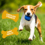 Bound Hip & Joint 100ml For Dogs