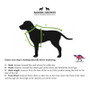 Barker & Brown Dinocoat Grape Lavender Dog Fleece