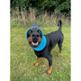 barker & brown dog fleece snood turquoise purple