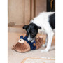 Cupid & Comet Bart Bear For Dogs