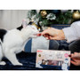 Cupid & Comet Cat Canapes 120G
