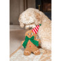Cupid & Comet George Gingerbread Man Dog Toy