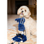Cupid & Comet Nermal Nutcracker Dog Toy