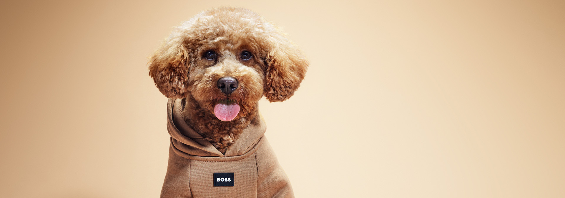 BOSS Products - DOG by Just For Pets