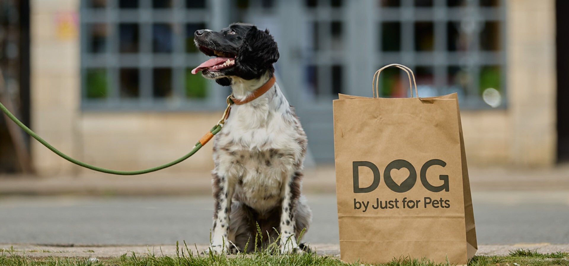 Dog-Online-Free-Deliver