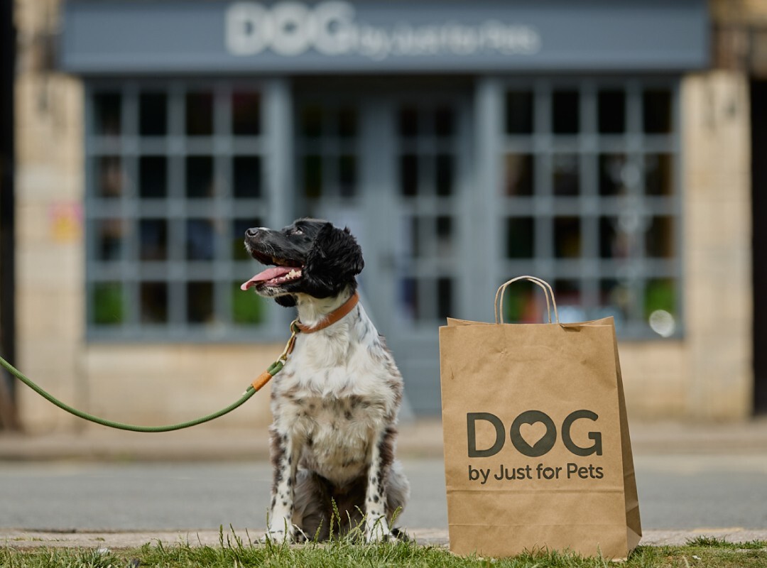Dog-Online-Free-Deliver