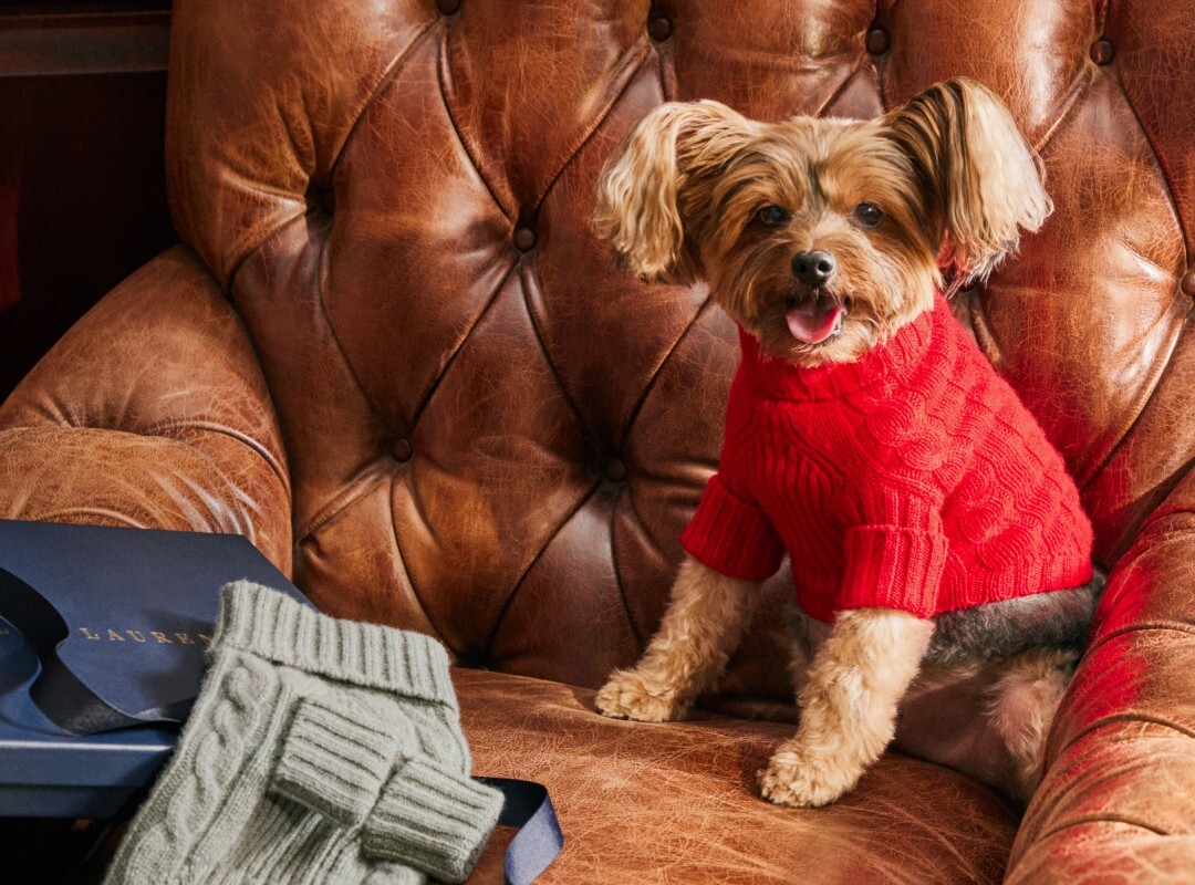 Ralph Lauren Dog Online