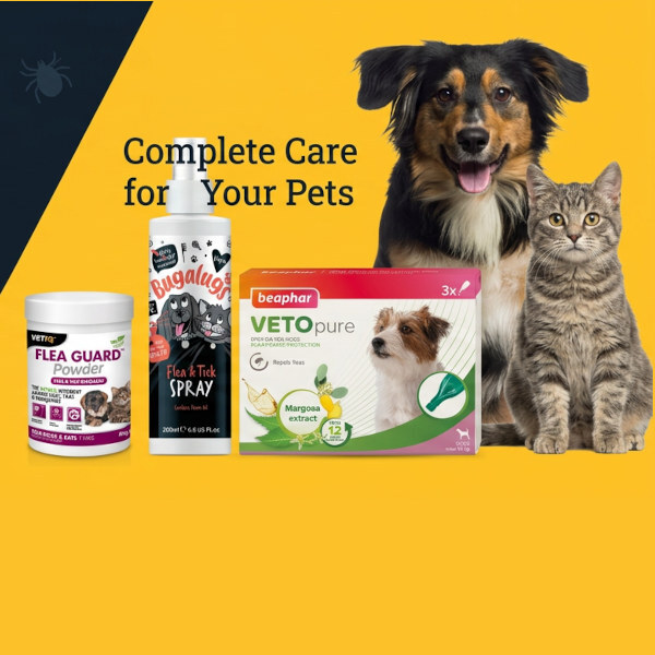 Flea & Tick Solutions - Dog and Cat
