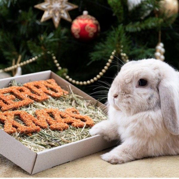 Shop Gifts for Small Animals