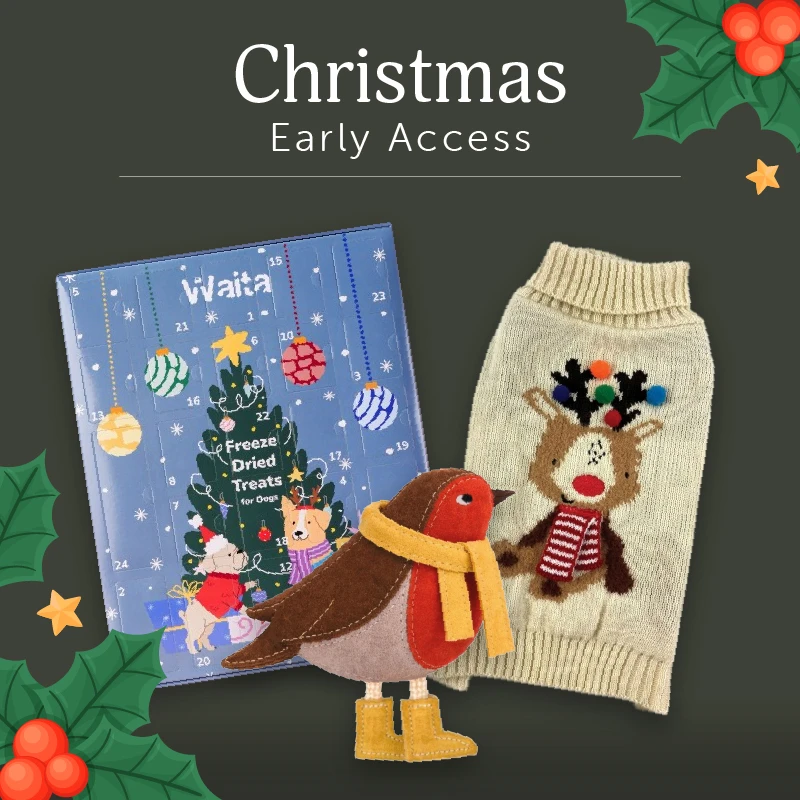 Treats | Advent Calendars | Toys
