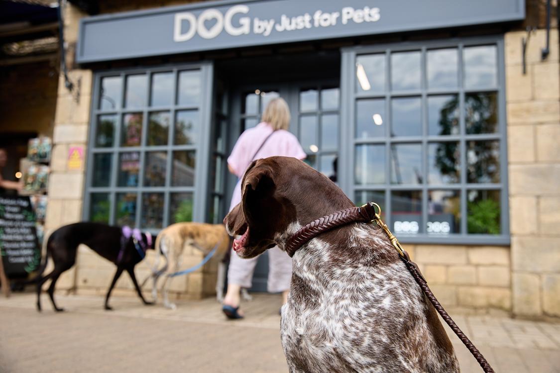 Dog-by-Just-for-Pets
