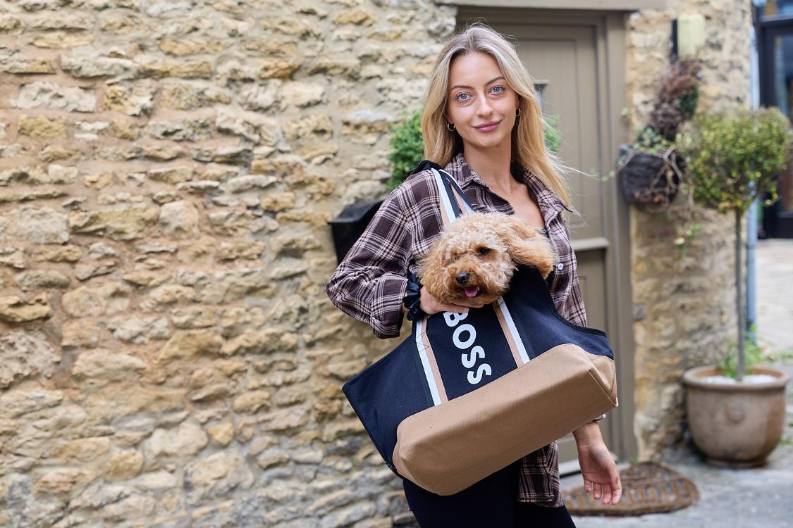BOSS-dog-by-just-for-pets