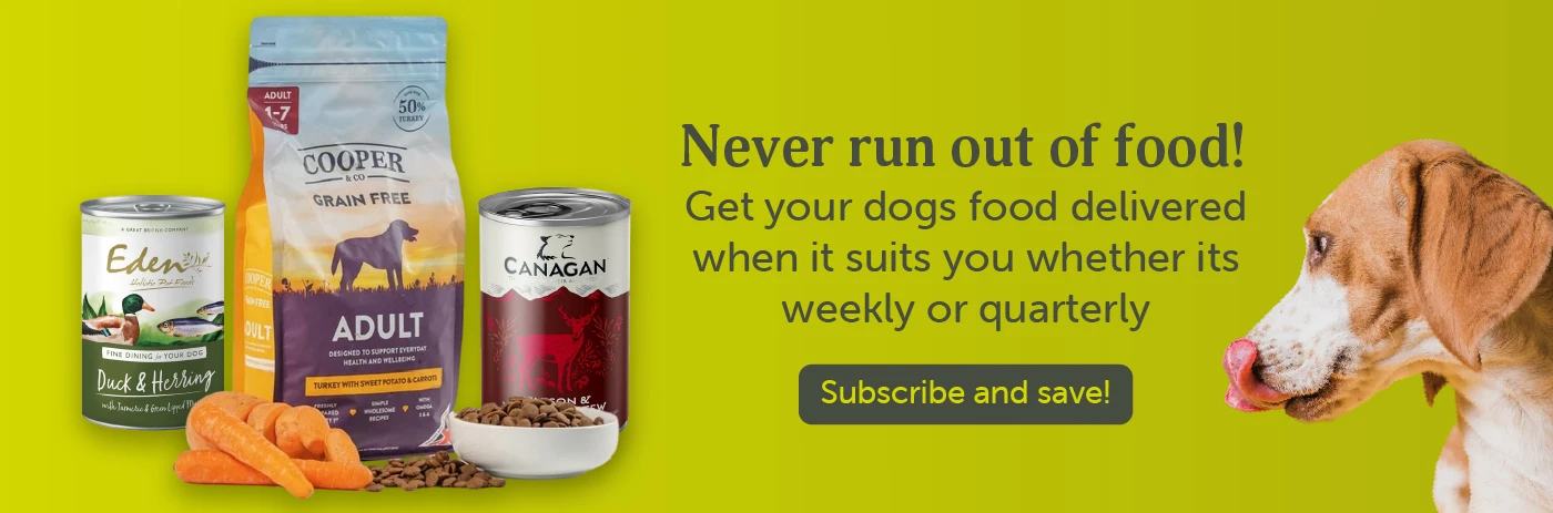 Subscribe to Dog and Cat Food
