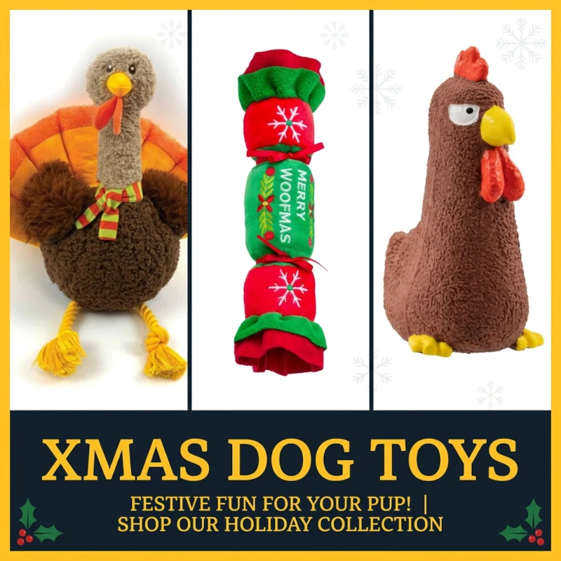Dog & Cat Toys