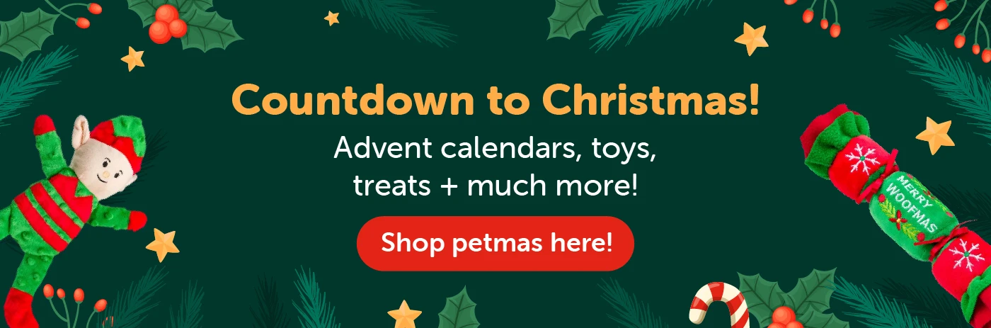 Christmas Gifting