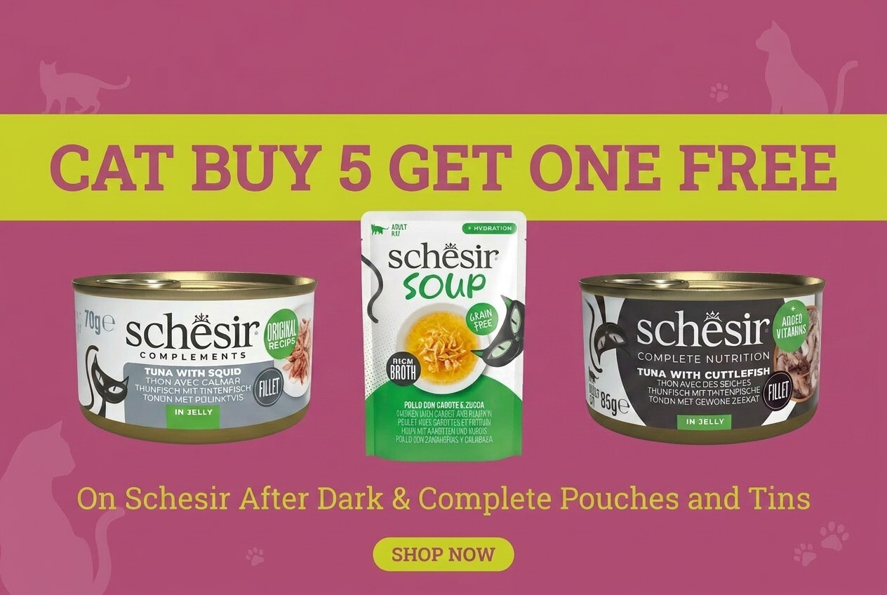 Schesir After Dark & Complete - Cat Buy 5 Get One Free 