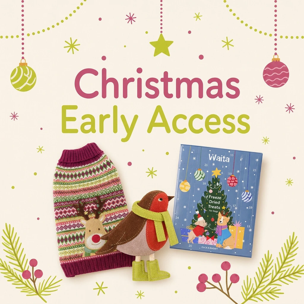 Christmas Countdown