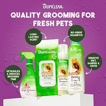 Alternative banner alt