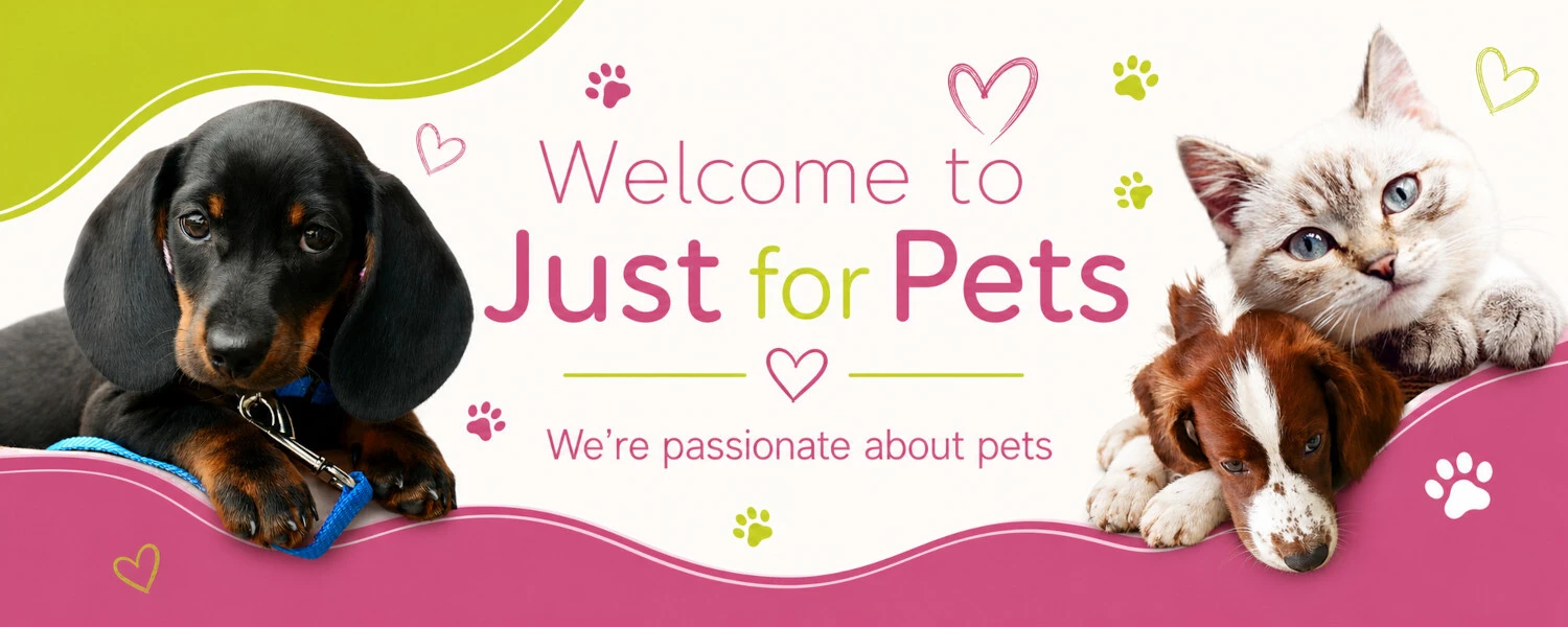 Pets Store Dog and Cats