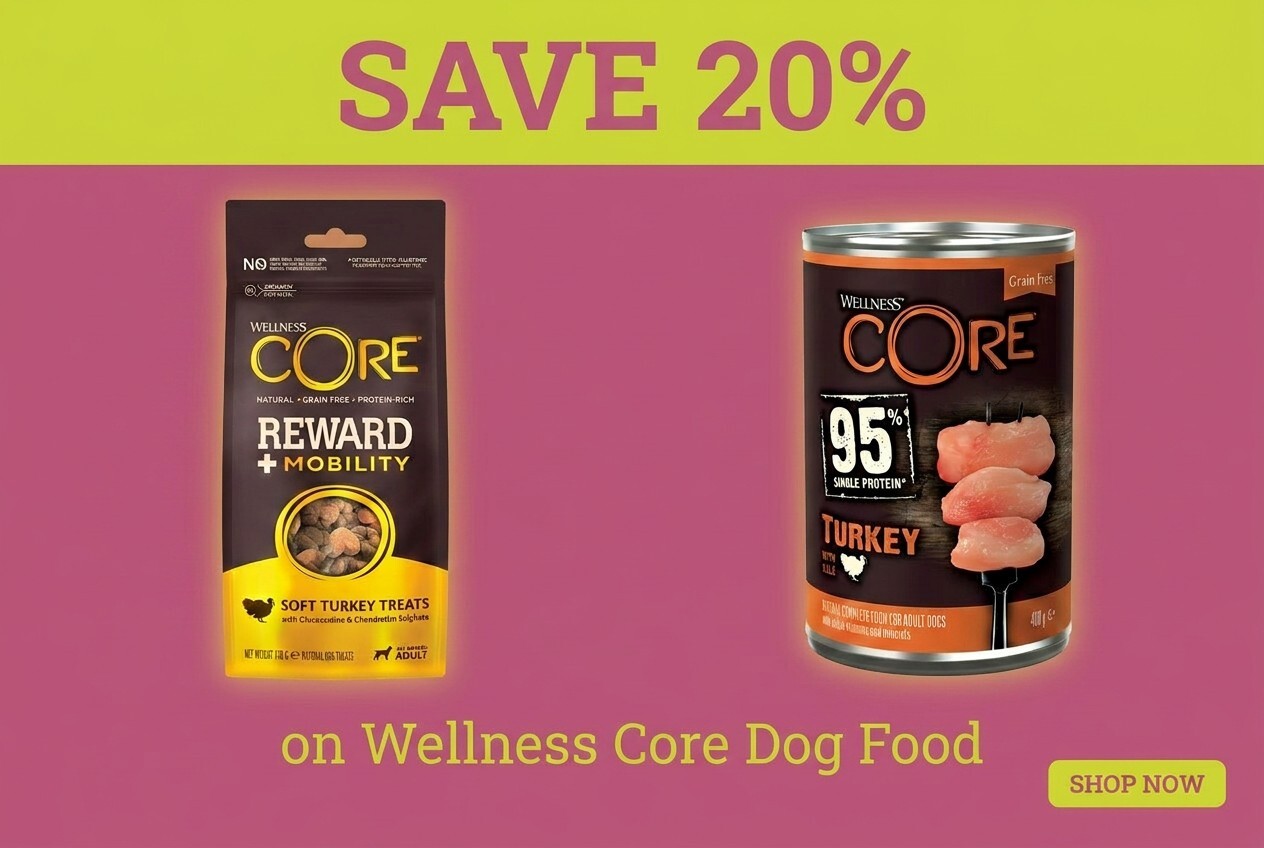 Wellness Core Dog Food