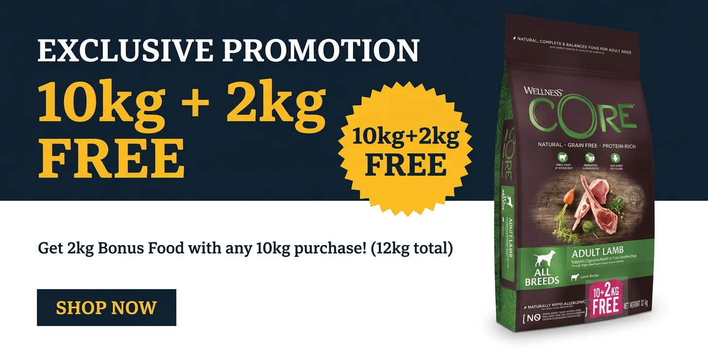 Wellness Core Offer