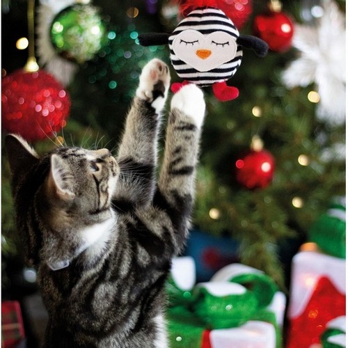 Shop Gifts for Cats