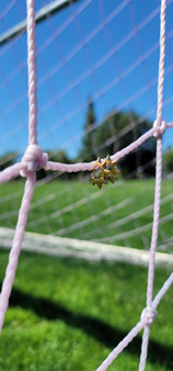 yellow gold spike huggie hoops