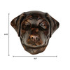 Labrador retriever dog door knocker dimensions