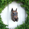 schnauzer dog door knocker white door green wreath