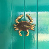 crab door knocker brass on teal door