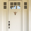 steer skull door knocker bronze on white door