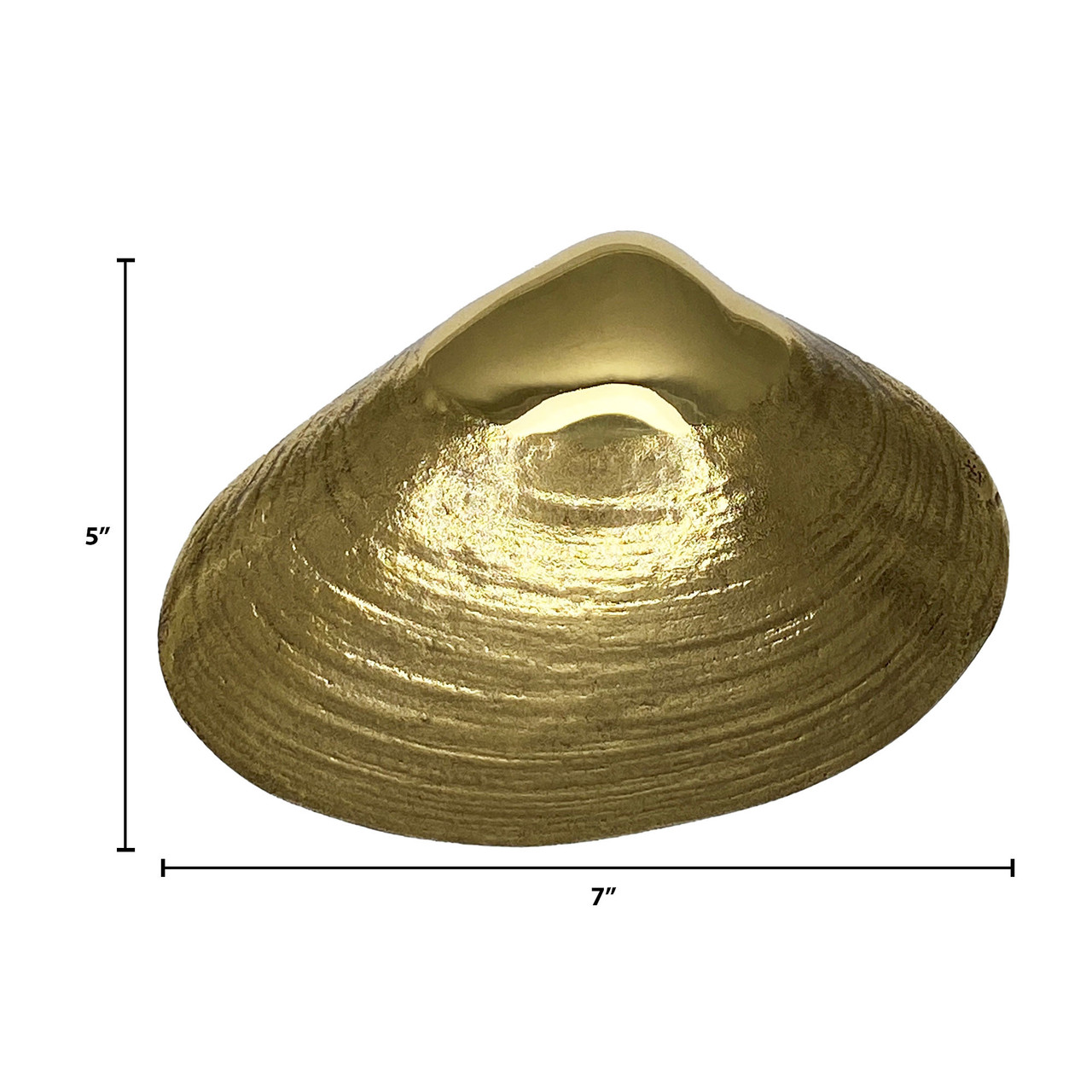 Clam Door Knocker by Michael Healy