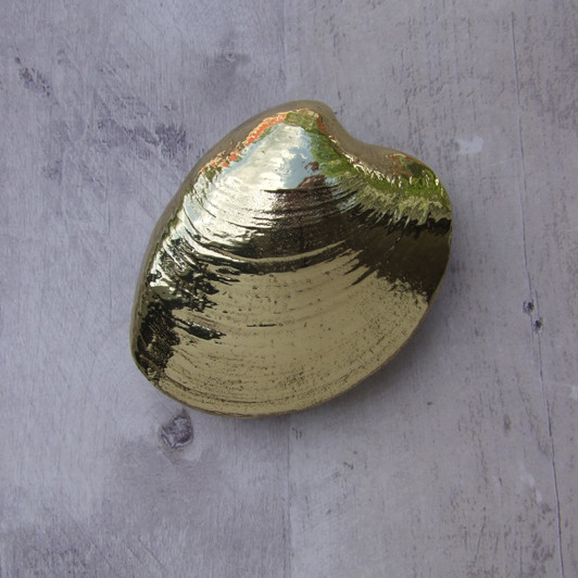 Quahog door knocker brass on grey wood door